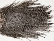 7645 Coq De Leon Dry Fly Hackle, Bronze Grade Saddle Dun