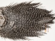 7663 Coq De Leon Dry Fly Hackle, Bronze Grade Saddle Dun