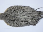 9408 - JimsFlyCo Dry Fly Hackle, Grizzly Dun Variant #1 Grade Rooster Cape, Ties Sizes 12-22
