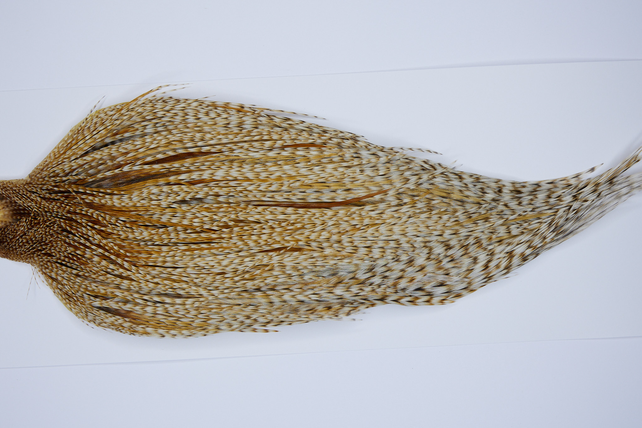 9484 - JimsFlyCo Dry Fly Hackle, Barred Ginger #1 Grade Rooster Cape, Ties Sizes 10-22
