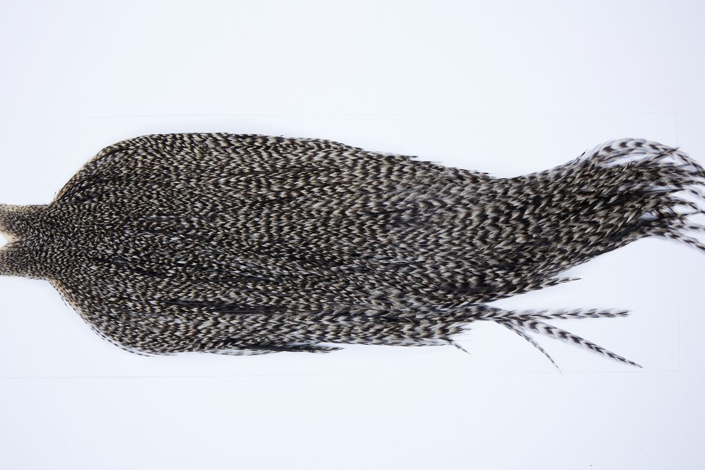 9794 - JimsFlyCo Dry Fly Hackle, Grizzly Variant #1 Grade Rooster Cape, Ties Sizes 10-20