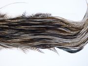 1354 Hebert Dry Fly Hackle, Bronze Grade 12-14 Variant Ties Sizes 12-14