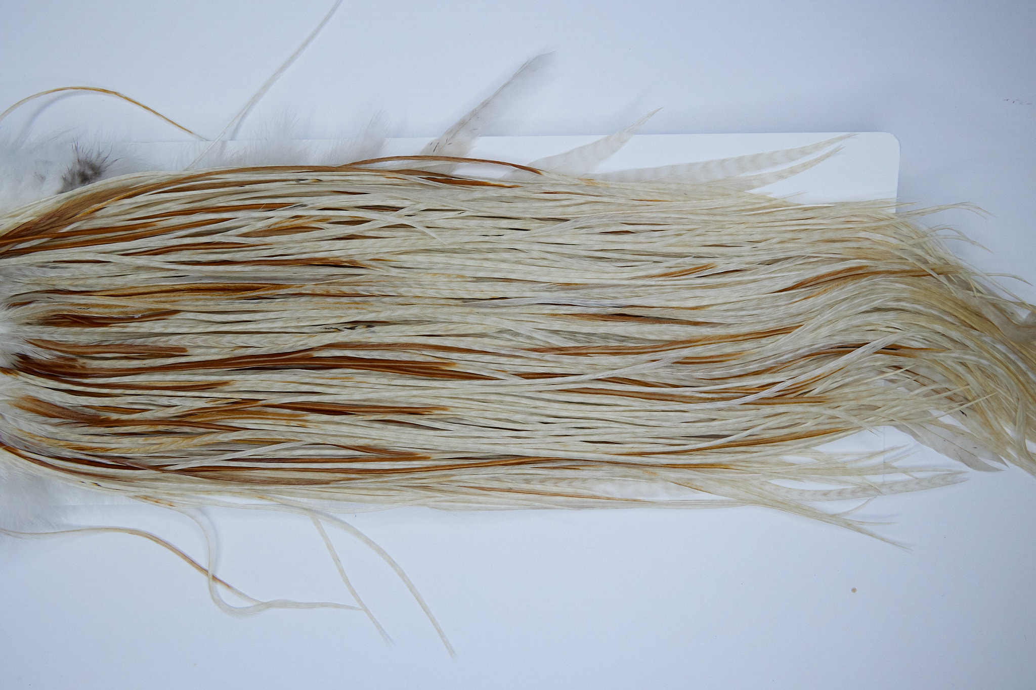 1566 Whiting Dry Fly Hackle Silver Grade Rooster Saddle Barred Medium Ginger Ties Size 14-16