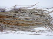 1654 Whiting Dry Fly Hackle Bronze Grade Midge Saddle Variant Ties Size 16-18