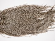 2574 Coq De Leon Dry Fly Hackle,  Rooster Saddle Grizzly