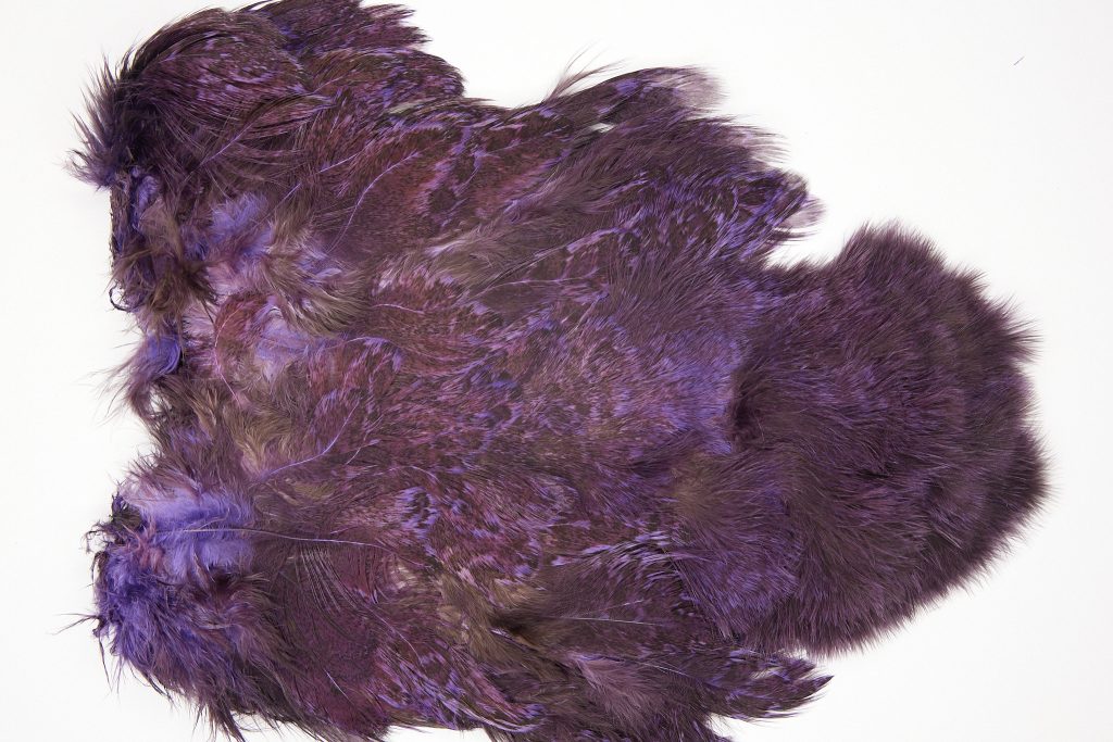 2533 Coq De Leon Chickabou Rooster Saddle Purple