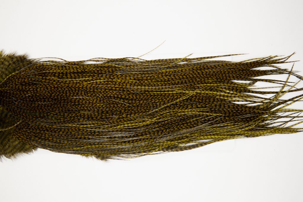 10665 Whiting Dry Fly Hackle Silver Grade Rooster Saddle Grizzly Dark Olive Ties Size 14-16