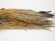 10864a Hebert Dry Fly Hackle Bronze Grade Rooster Saddle Unique Variant Ties Size 12-14