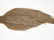 11617 Beaverkill Dry Fly Hackle Rooster Cape Grizzly Ties Size 8-20
