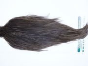 12321 Hebert Dry Fly Hackle Bronze Grade Rooster Cape Dark Grey Dun Ties Size 10-20
