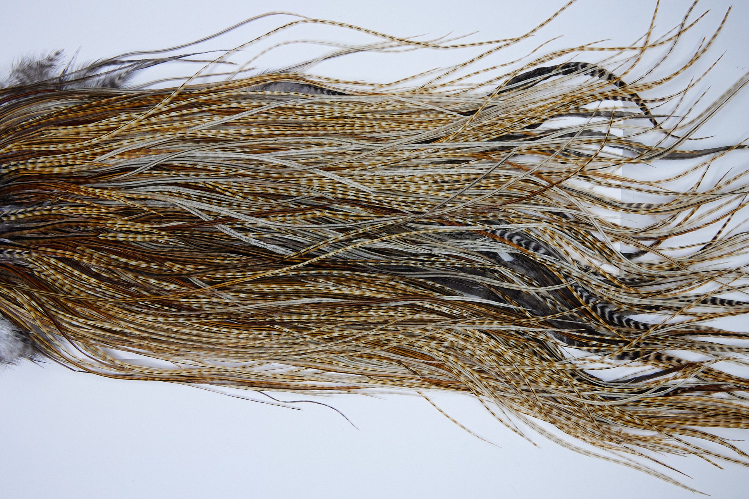 1617 Whiting Wet Fly Hackle Silver Grade Midge Saddle Barred Medium Ginger Ties Size 16-18
