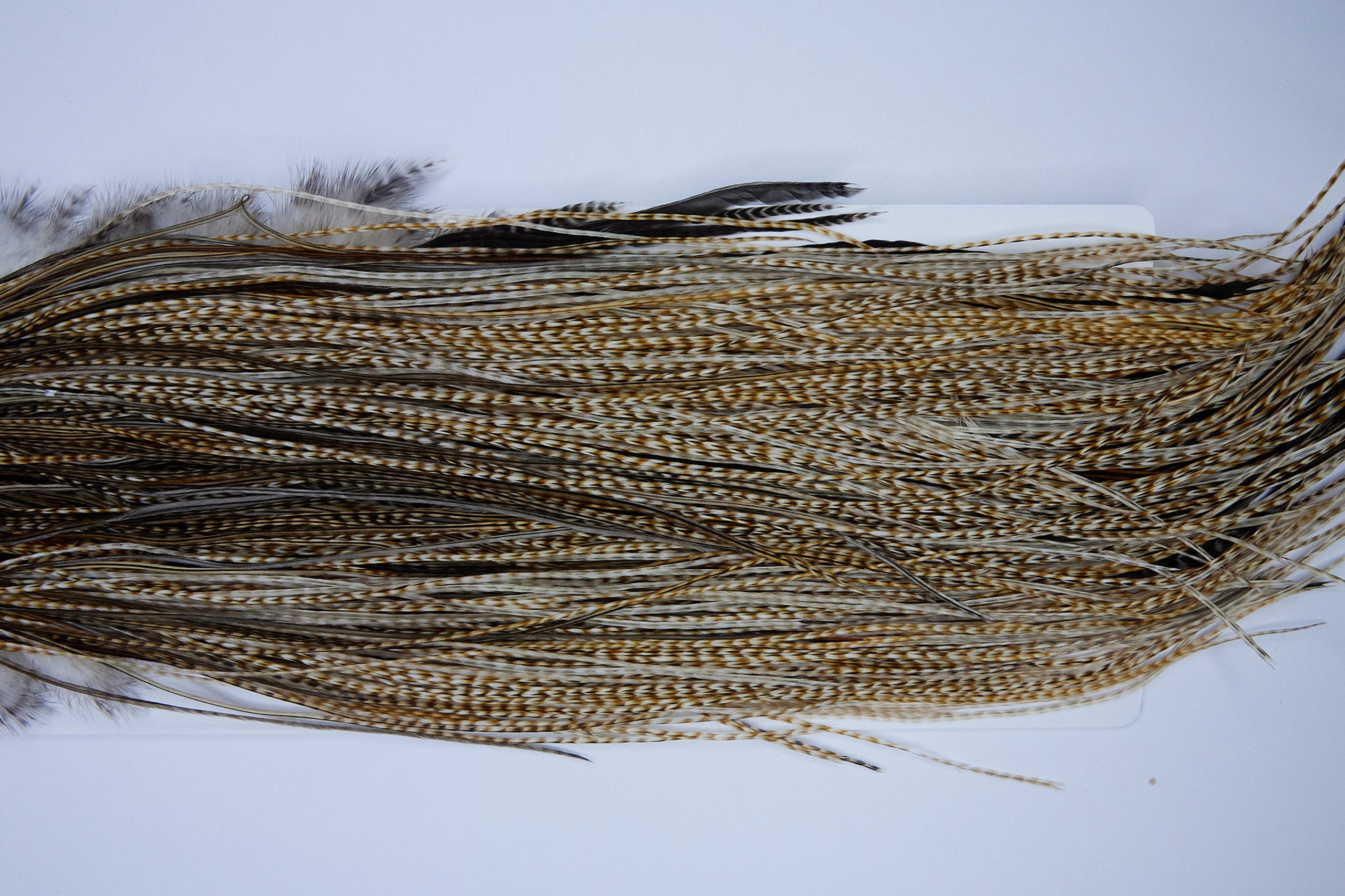 1622 Whiting Wet Fly Hackle Silver Grade Midge Saddle Barred Medium Ginger Ties Size 16-20