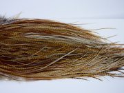 1681 Whiting Dry Fly Hackle Pro Grade Midge Saddle Dark Barred Ginger Ties Size 18-20