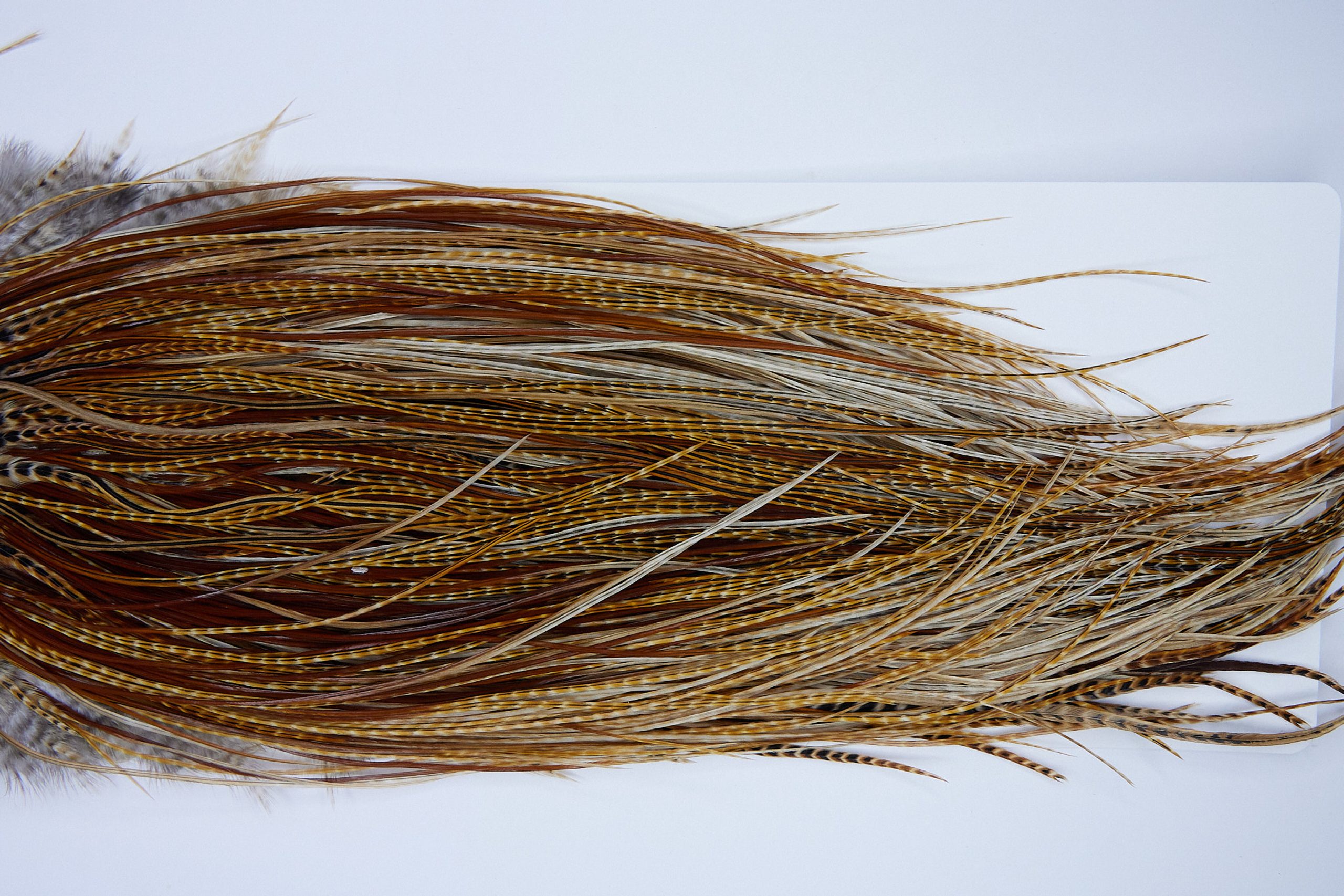 1681 Whiting Dry Fly Hackle Pro Grade Midge Saddle Dark Barred Ginger Ties Size 18-20