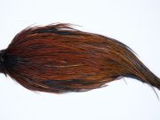 9256 JimsFlyCo Dry Fly Hackle Grade 1 Rooster Cape Furnace Ties Size 10-24
