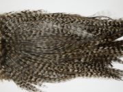 12408 Coq De Leon Dry Fly Hackle Bronze Grade Rooster Saddle Grizzly Variant Ties Size NA