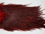 12426 Coq De Leon Dry Fly Hackle Bronze Grade Rooster Saddle Red Ties Size NA