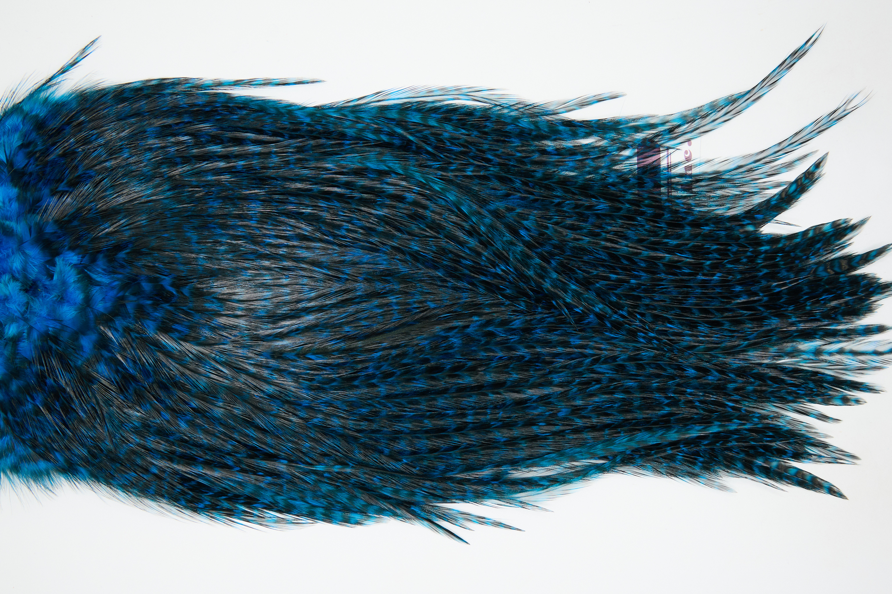 12427 Coq De Leon Dry Fly Hackle Bronze Grade Rooster Saddle Kingfisher Blue Ties Size NA