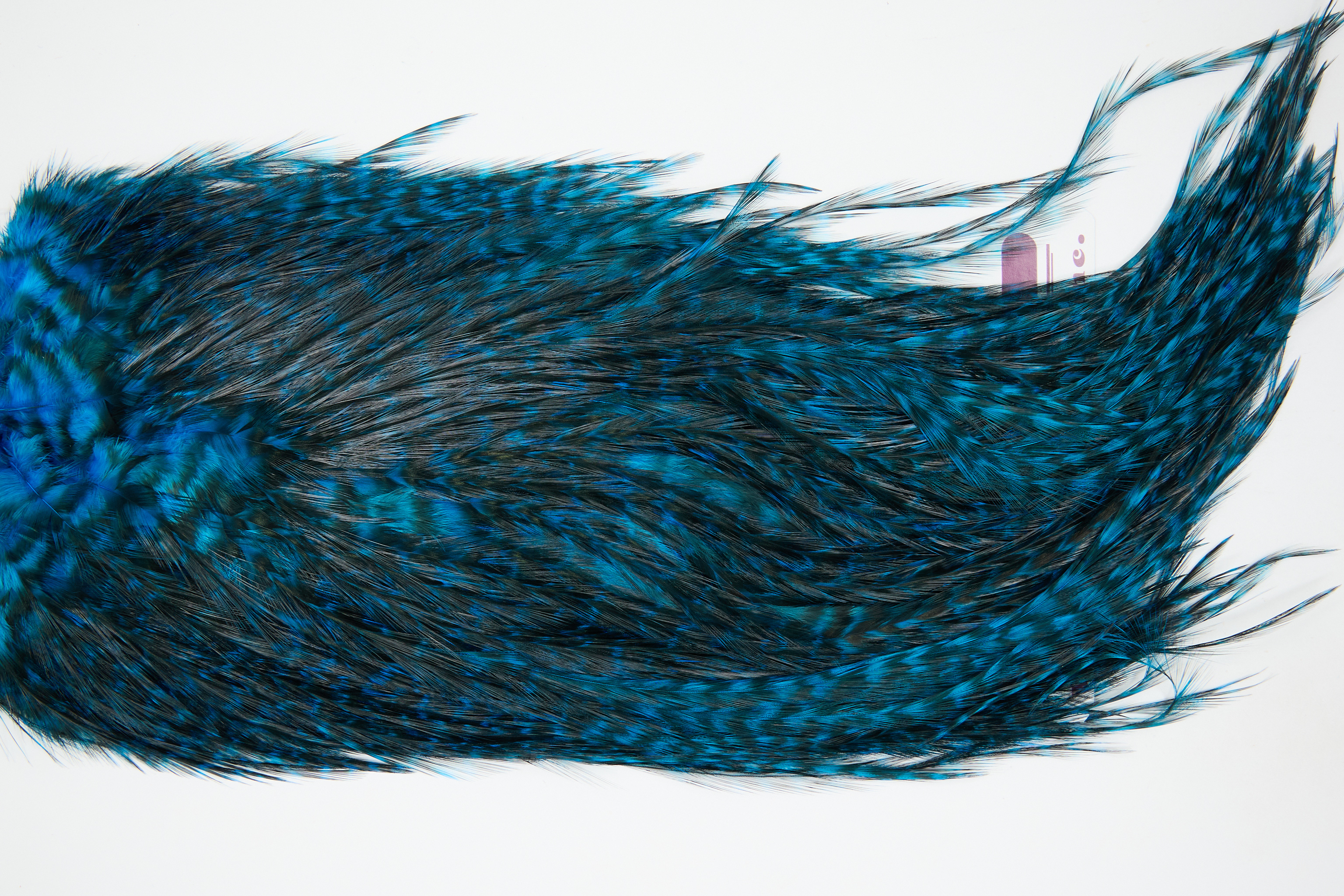 12429 Coq De Leon Dry Fly Hackle Bronze Grade Rooster Saddle Kingfisher Blue Ties Size NA