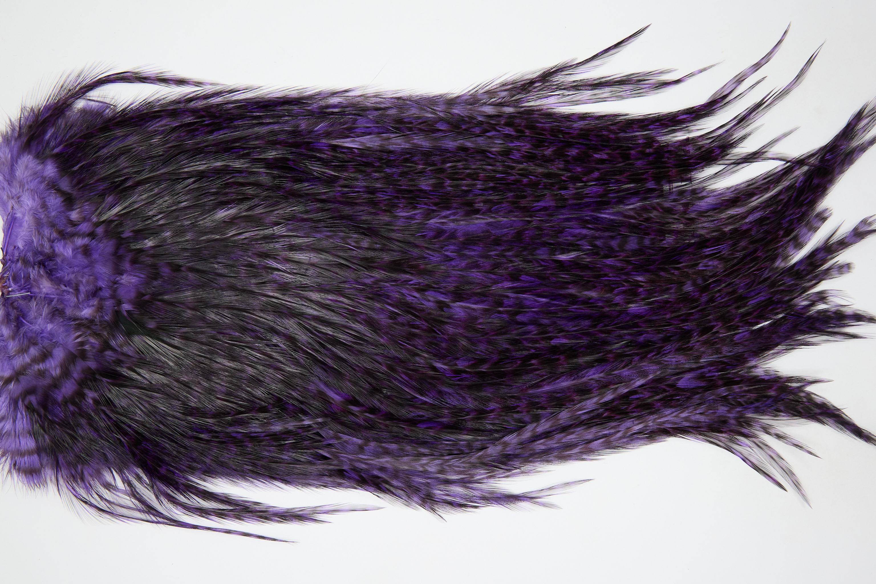 12434 Coq De Leon Dry Fly Hackle Bronze Grade Rooster Saddle Purple Ties Size NA