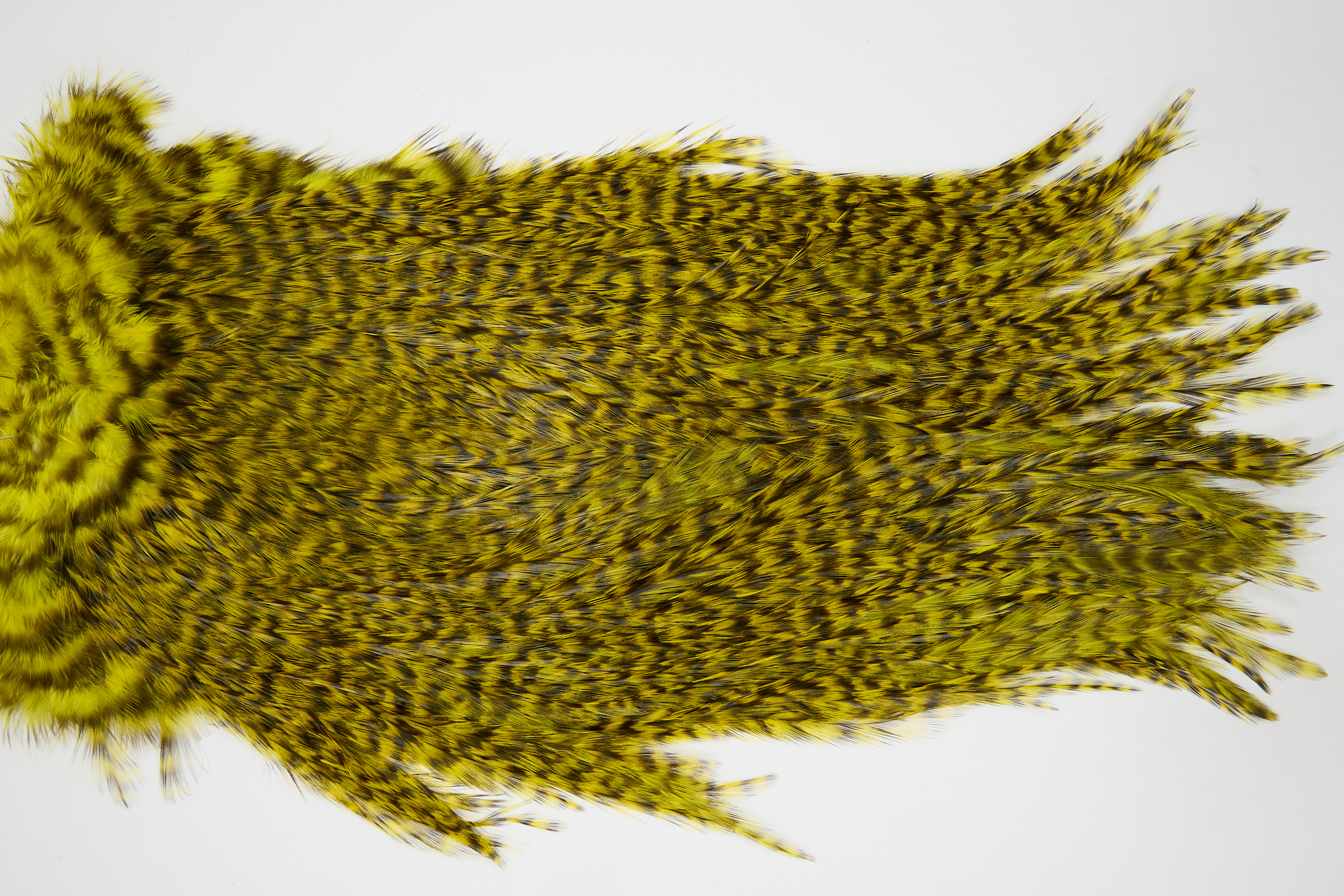 12437 Coq De Leon Dry Fly Hackle Bronze Grade Rooster Saddle Yellow Ties Size NA