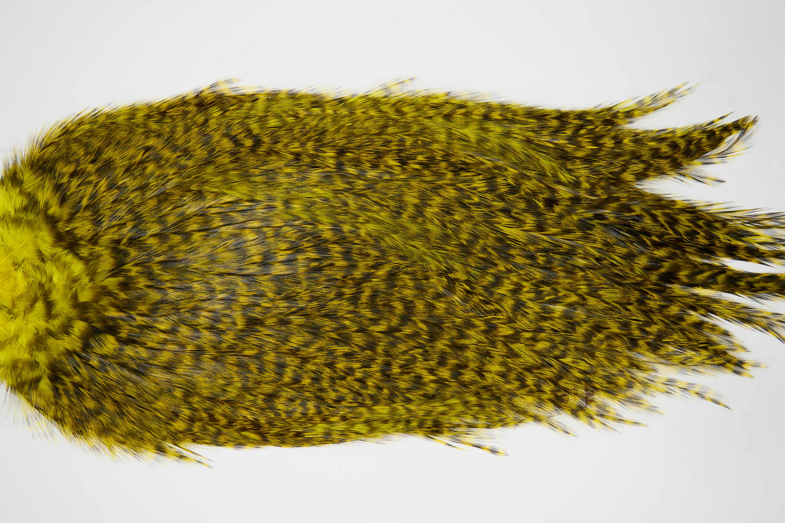 12438 Coq De Leon Dry Fly Hackle Bronze Grade Rooster Saddle Yellow Ties Size NA