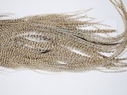 10174 Beaverkill Dry Fly Hackle Rooster Saddle Dun Grizzly Ties Size 12-14