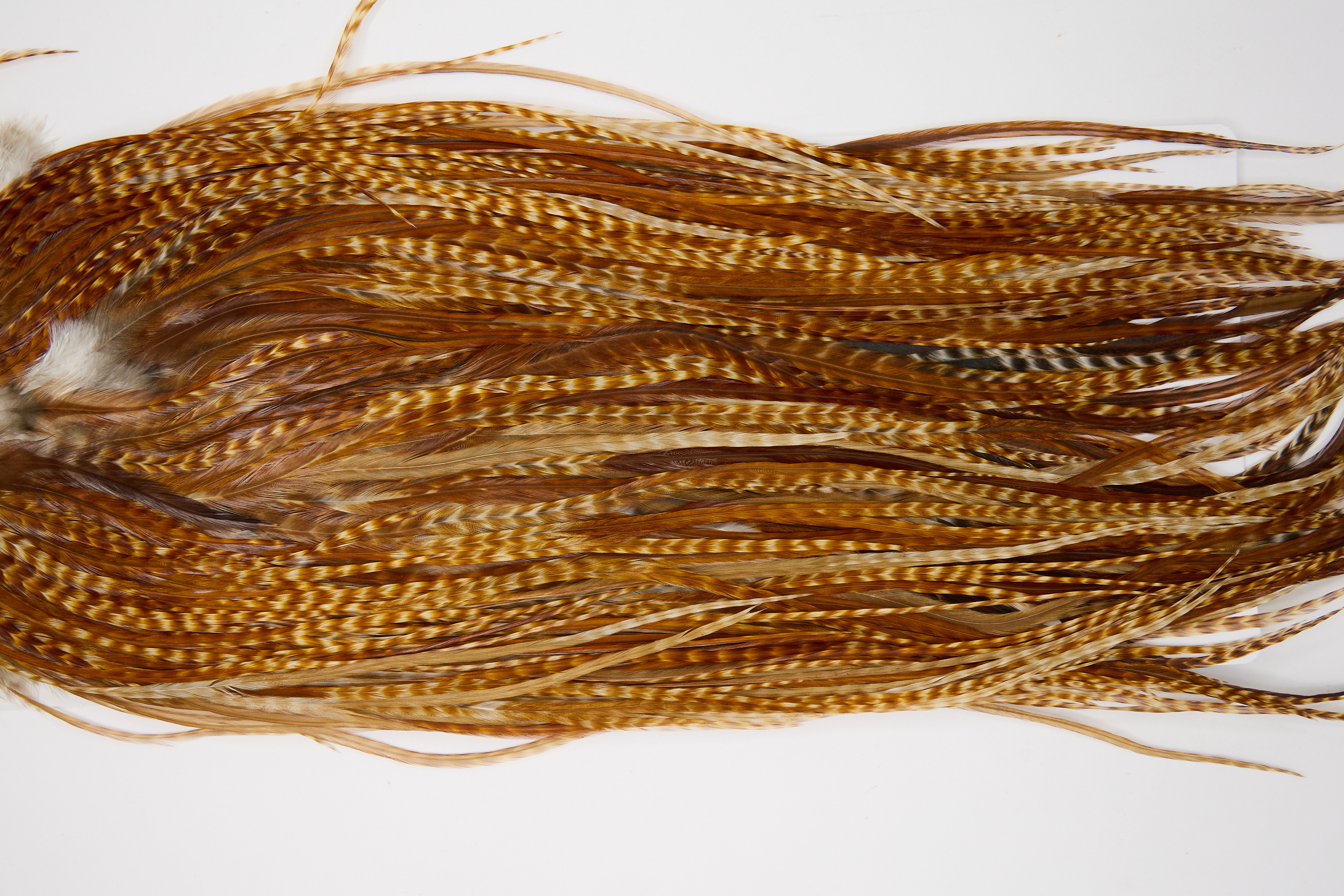 12071 Hebert Dry Fly Hackle Pro Grade Rooster Saddle Barred Dark Ginger Ties Size 12-16