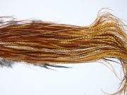 1821 Heritage Dry Fly Hackle, 1 Grade Rooster Saddle Barred Ginger Ties Size 14-16