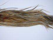 1836 Heritage Dry Fly Hackle, 1 Grade Rooster Saddle Honey Dun Ties Size 12-14
