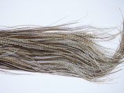 1842 Heritage Dry Fly Hackle, 1 Grade Rooster Saddle Variant Ties Size 14-16