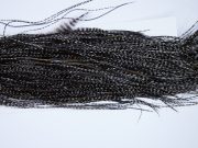 1883 Heritage Dry Fly Hackle, 2 Grade Rooster Saddle Variant Ties Size 14-16