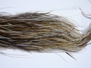 1898 Heritage Dry Fly Hackle, 2 Grade Rooster Saddle Variant Ties Size 14-16