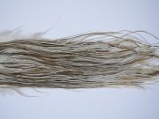 9357 JimsFlyCo Dry Fly Hackle Grade 2 Rooster Saddle Medium Dun Ties Size 12-14