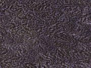 Cog De Leon Hen Saddle Speckled Lavender