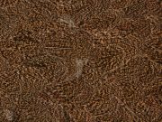 Cog De Leon Hen Saddle Speckled Salmon