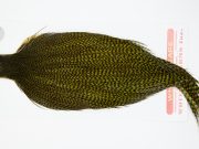 12403 Whiting Dry Fly Hackle Pro Grade Rooster Cape Grizzly Dark Olive Ties Size 8-20