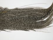 12505 JimsFlyCo Dry Fly Hackle Rhodium Rooster Saddle Grizzly Ties Size 12-16