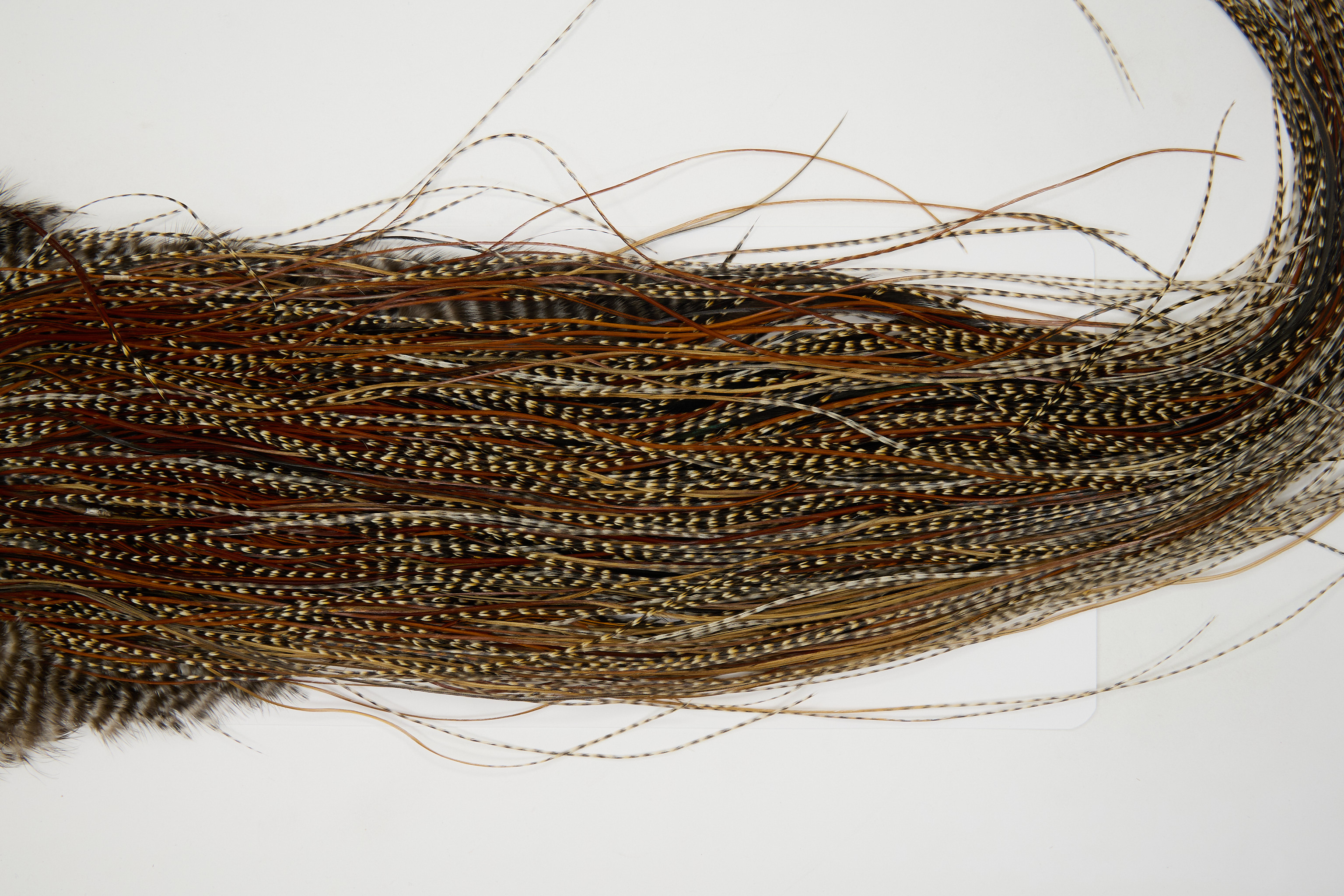 12534 JimsFlyCo Dry Fly Hackle Grade 1 Rooster Saddle Cree Variant Ties Size 18-20