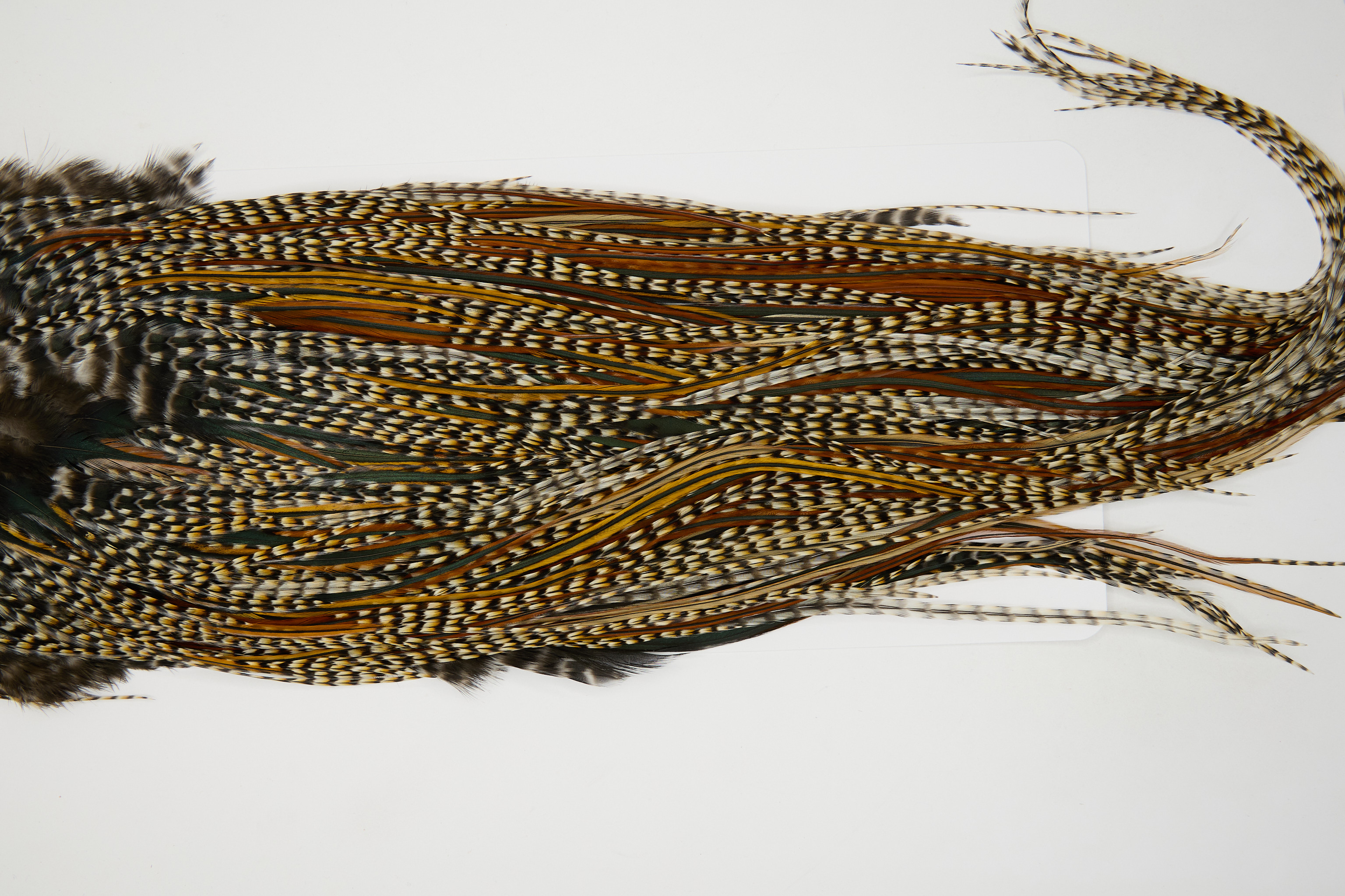 12536 JimsFlyCo Dry Fly Hackle Grade 1 Rooster Saddle Cree Variant Ties Size 10-14
