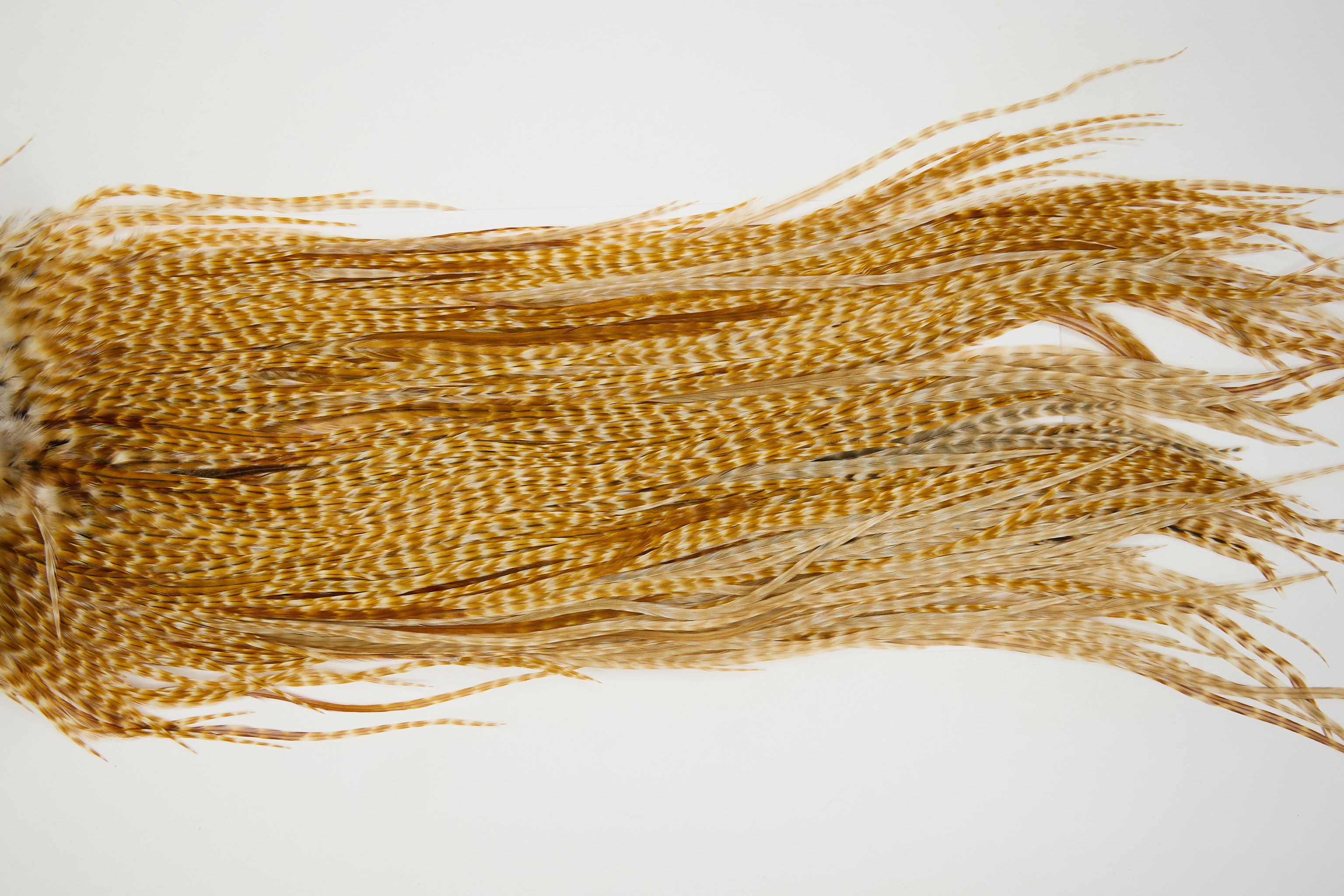 12538 JimsFlyCo Dry Fly Hackle Grade 1 Rooster Saddle Barred Ginger Ties Size 10-12