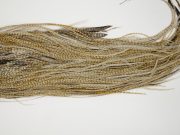 12545 JimsFlyCo Dry Fly Hackle Grade 1 Rooster Saddle Variant Ties Size 12-14