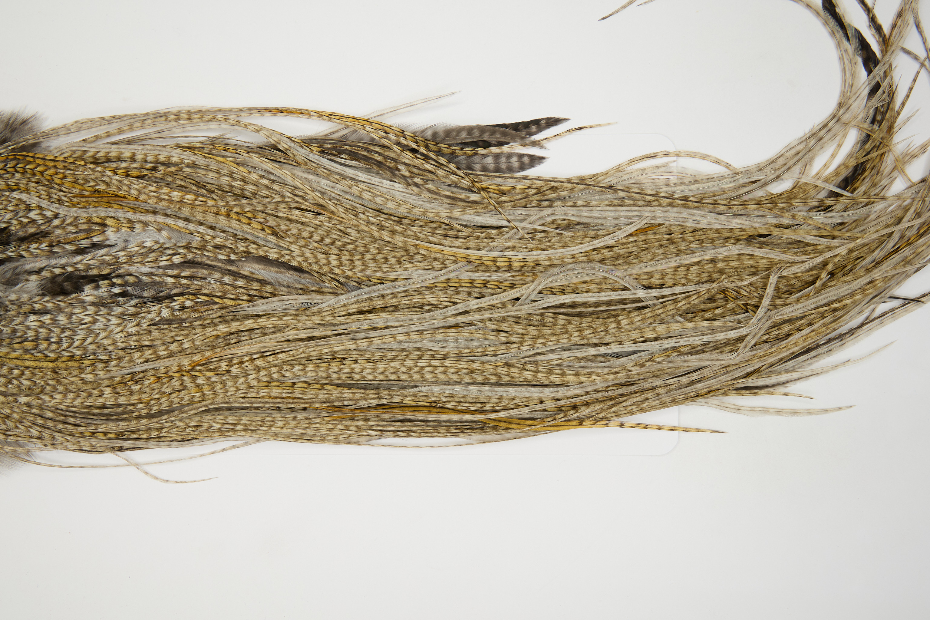 12545 JimsFlyCo Dry Fly Hackle Grade 1 Rooster Saddle Variant Ties Size 12-14
