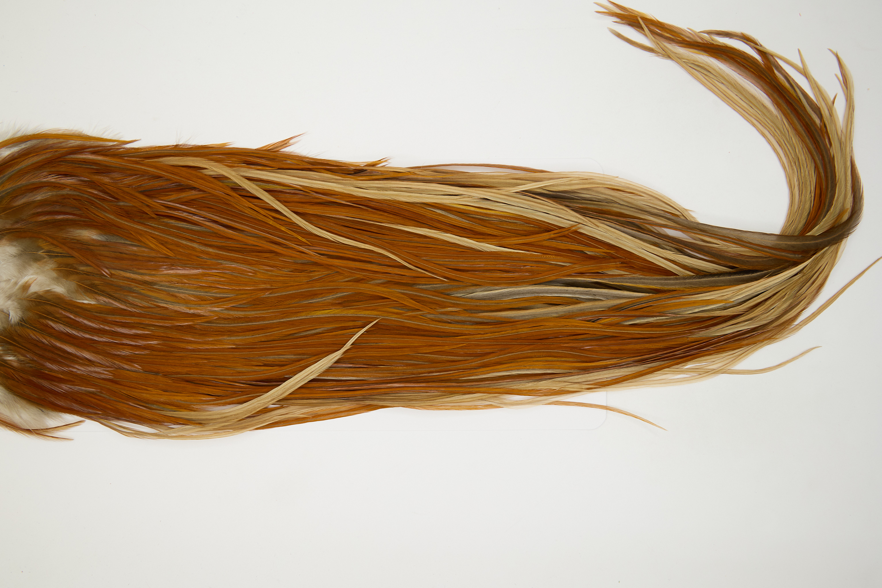 12546 JimsFlyCo Dry Fly Hackle Grade 1 Rooster Saddle Honey Dun Ties Size 10