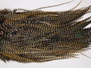 12559 JimsFlyCo Dry Fly Hackle Grade 3 Rooster Saddle Cree Variant Ties Size 10