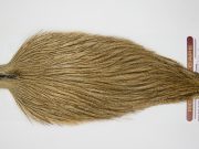 12577 Coq De Leon Dry Fly Hackle None Rooster Cape Medium Pardo Ties Size NA