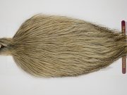 12604 Coq De Leon Dry Fly Hackle Rooster Cape Light Pardo Ties Size NA