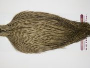 12605 Coq De Leon Dry Fly Hackle Rooster Cape Light Pardo Ties Size NA