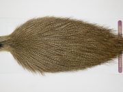12611 Coq De Leon Dry Fly Hackle Rooster Cape Light Pardo Ties Size NA