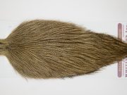 12612 Coq De Leon Dry Fly Hackle Rooster Cape Light Pardo Ties Size NA